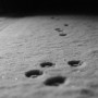 lunarcat